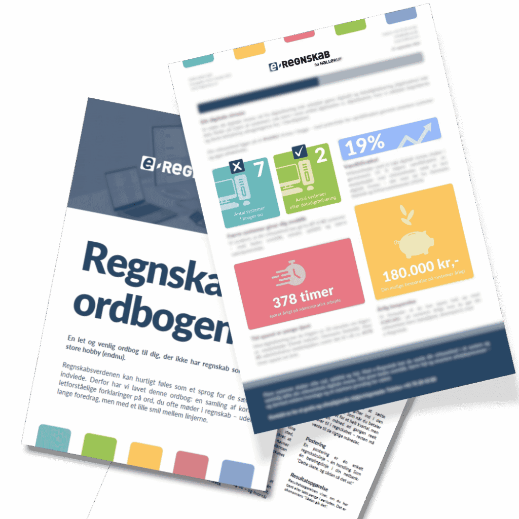 Regnskabsordbog og værditjek | e-Regnskab fra Hallerup
